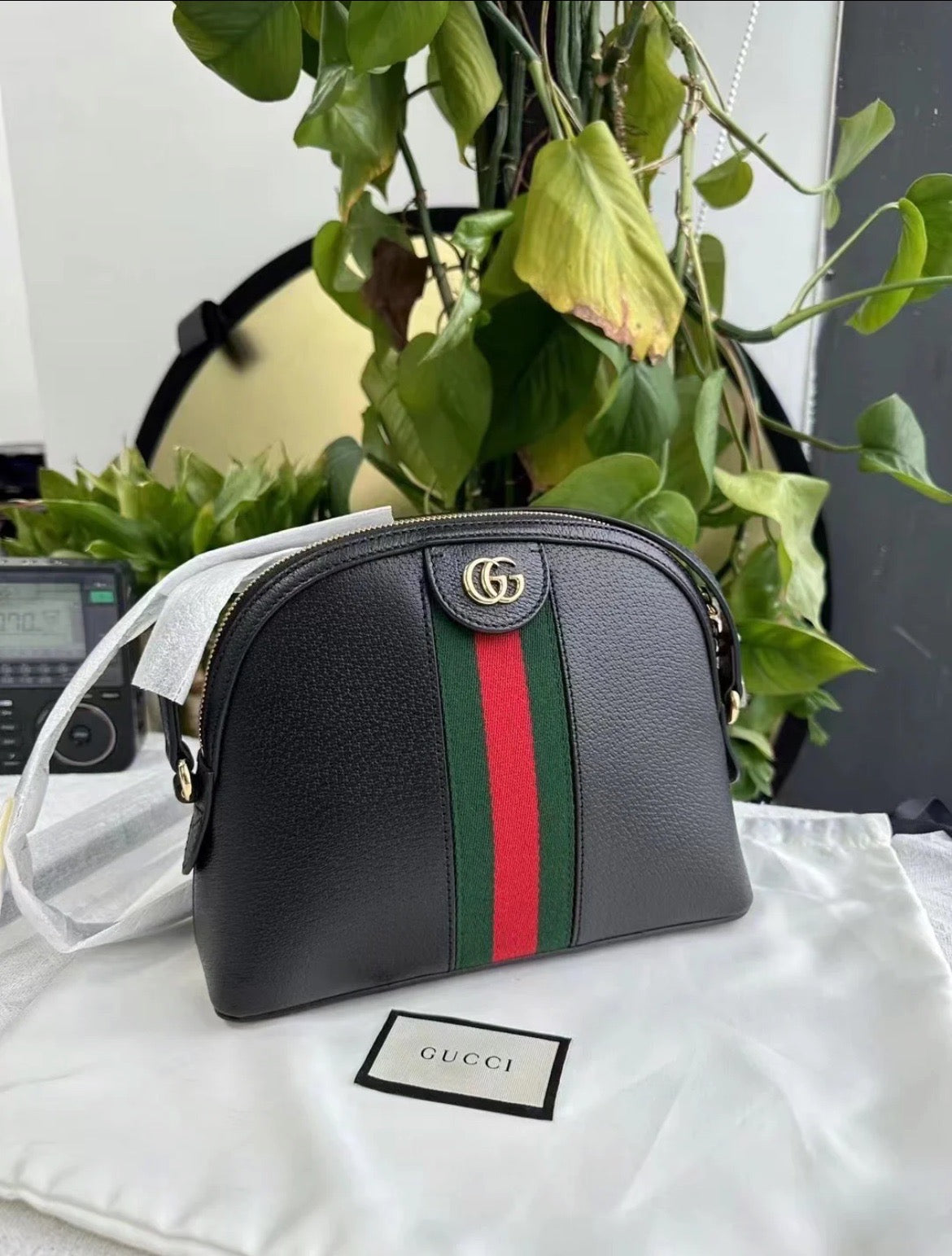 @Gucci▪️Ophidia GG 貝殼包/P730 🔔限時折🉐33850
