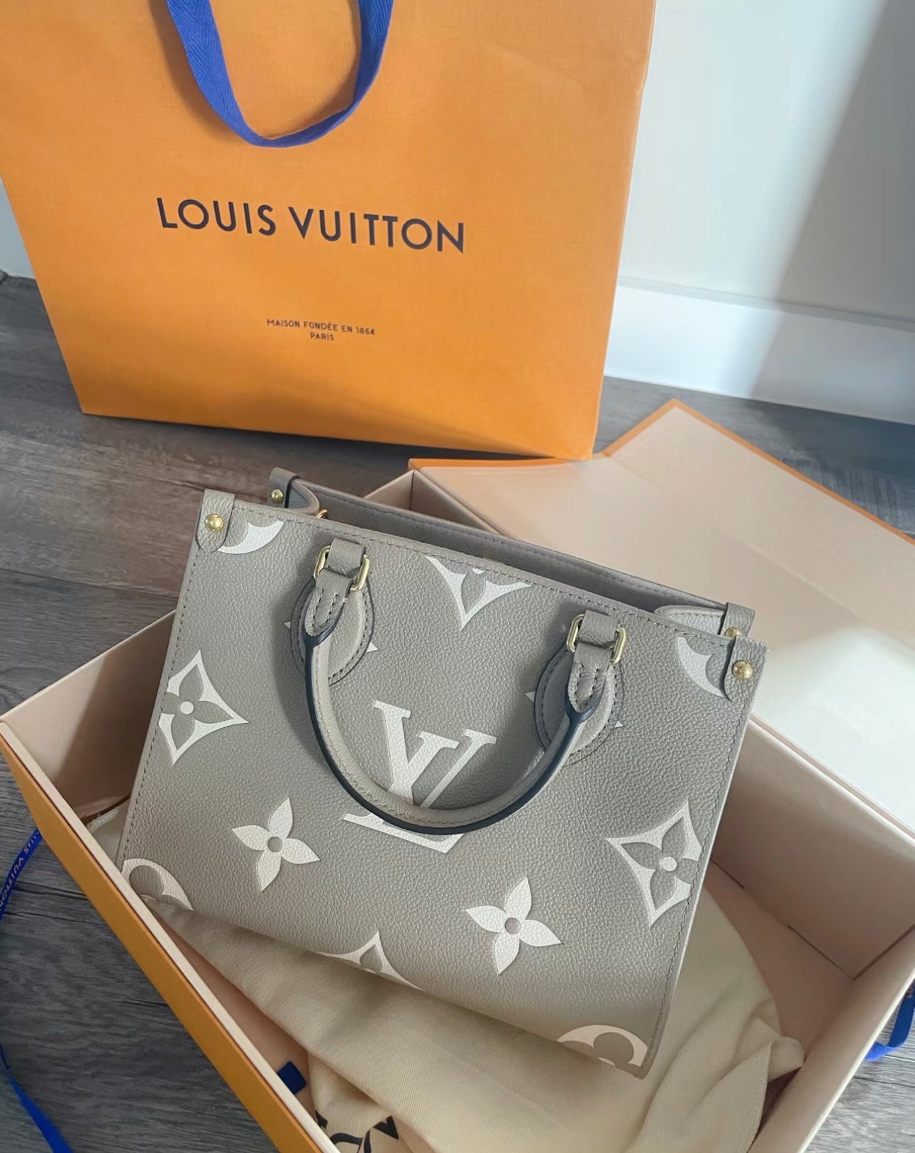 LV▪️OnTheGo PM 小款壓花雙色托特包/2520✨🉐104320