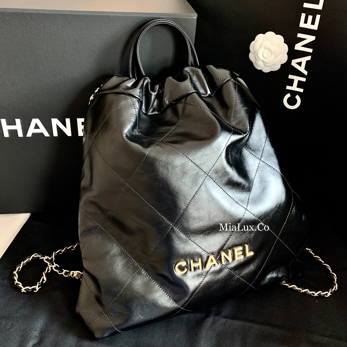 CHANEL 22 LARGE BACKPACK 大款後背垃圾包/5100 🉐205000