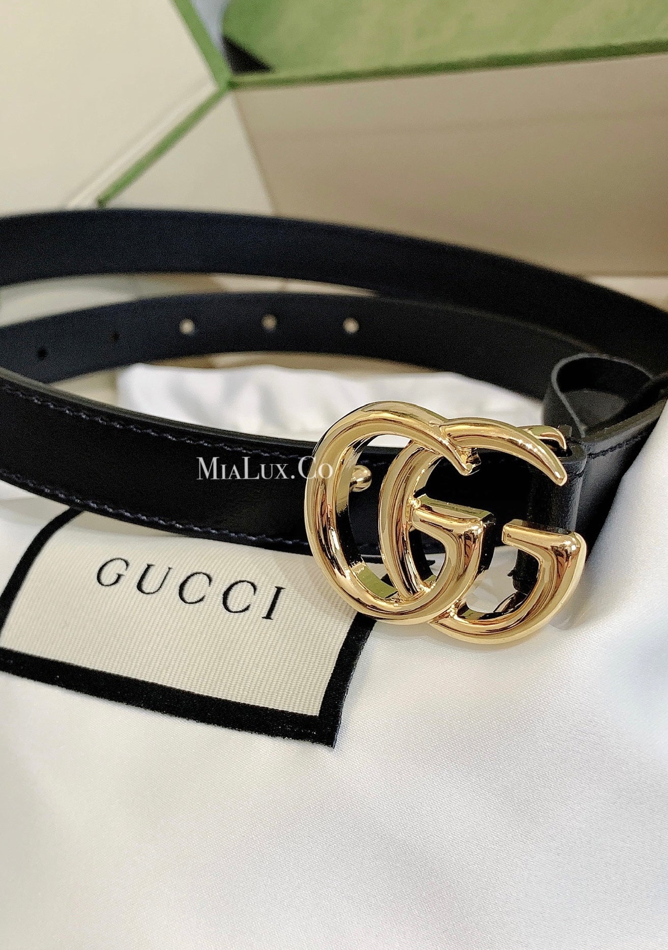@Gucci Marmont Belt 2cm 亮金扣皮帶/320