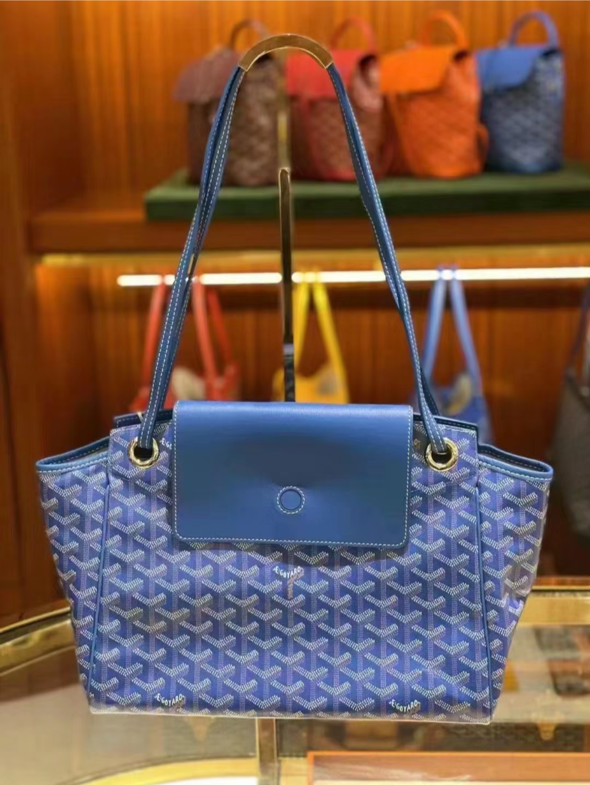 Goyard▪️Rouette Souple 新款餃子包/1840 🉐83800🏷️