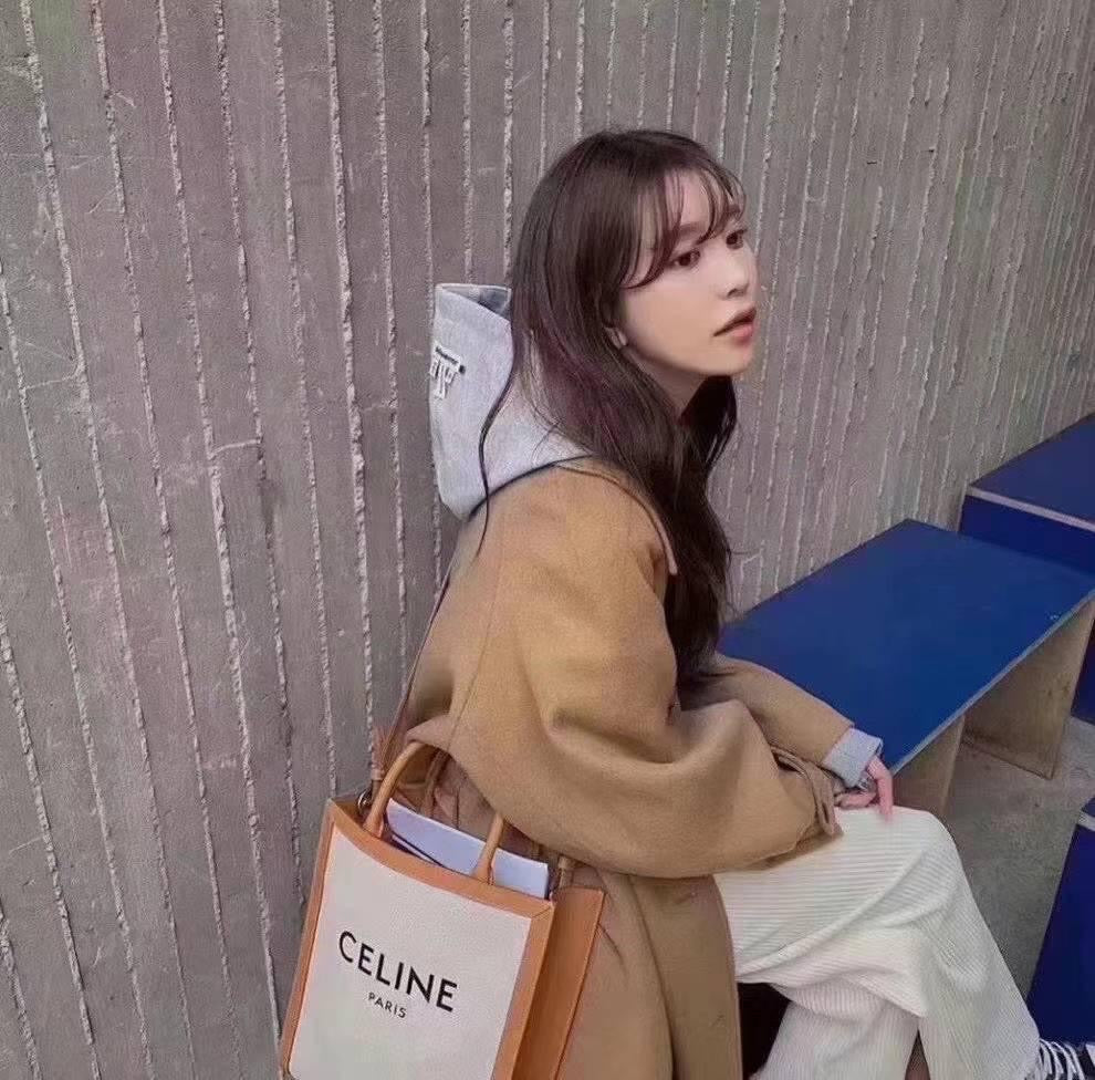 @Celine Small Cabas Vertical 小款托特包/1250P650🔥折上九折🉐27130