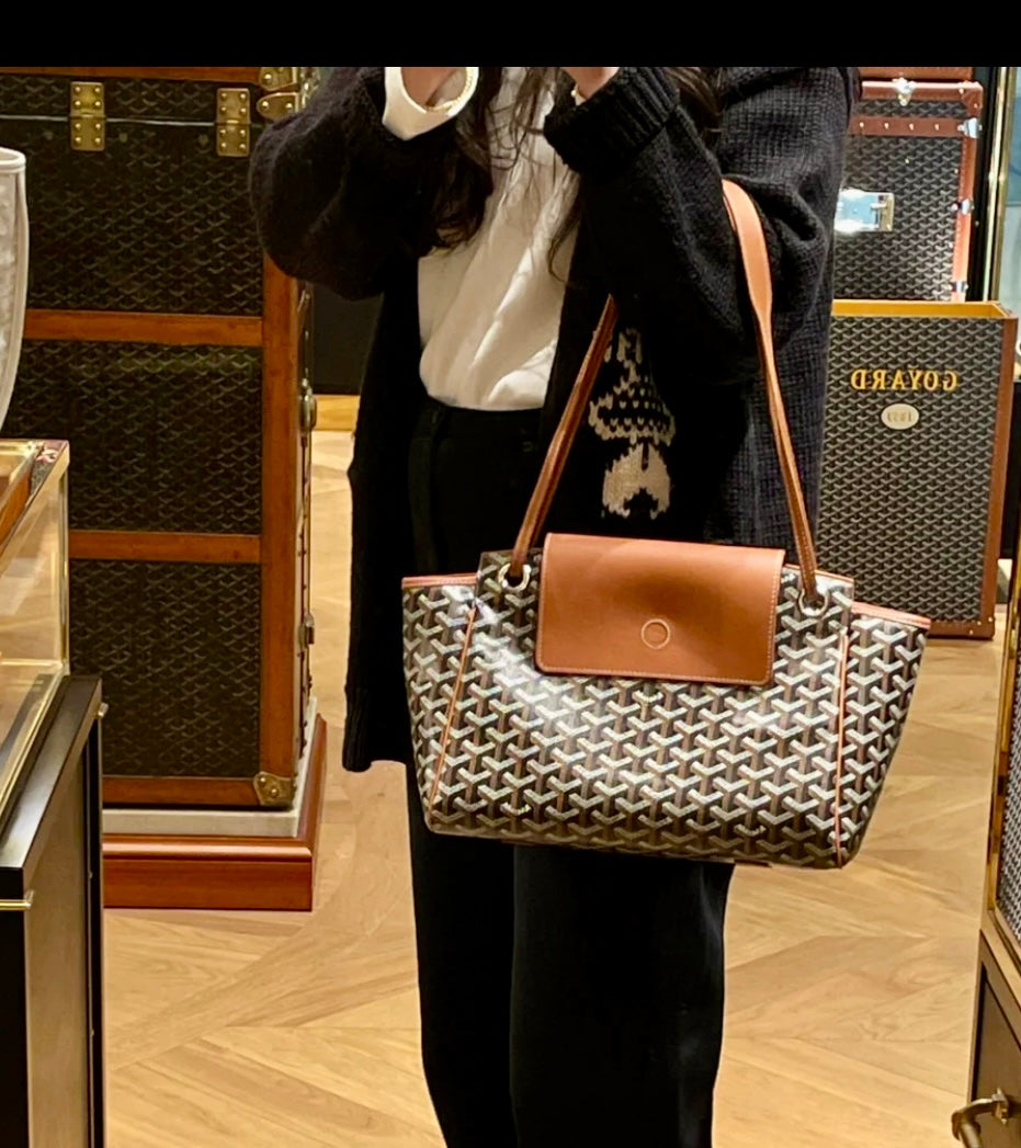 Goyard▪️Rouette Souple 新款餃子包/1840 🉐83800🏷️