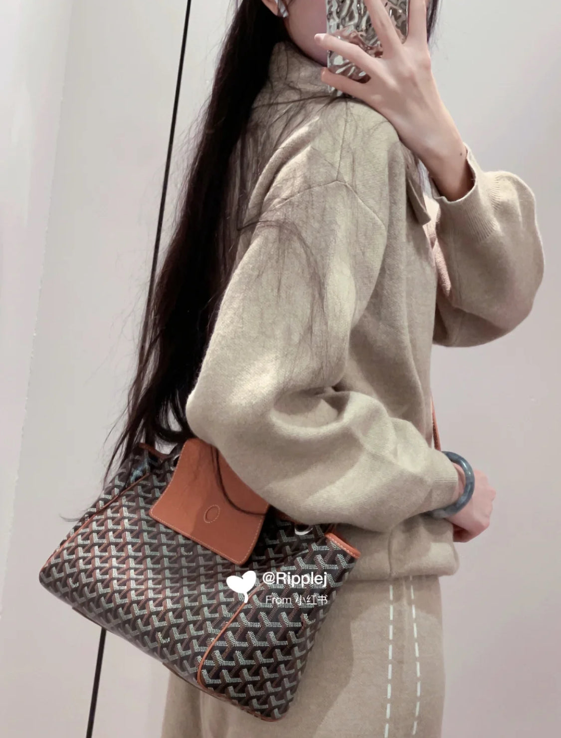 Goyard▪️Rouette Souple 新款餃子包/1840 🉐83800🏷️