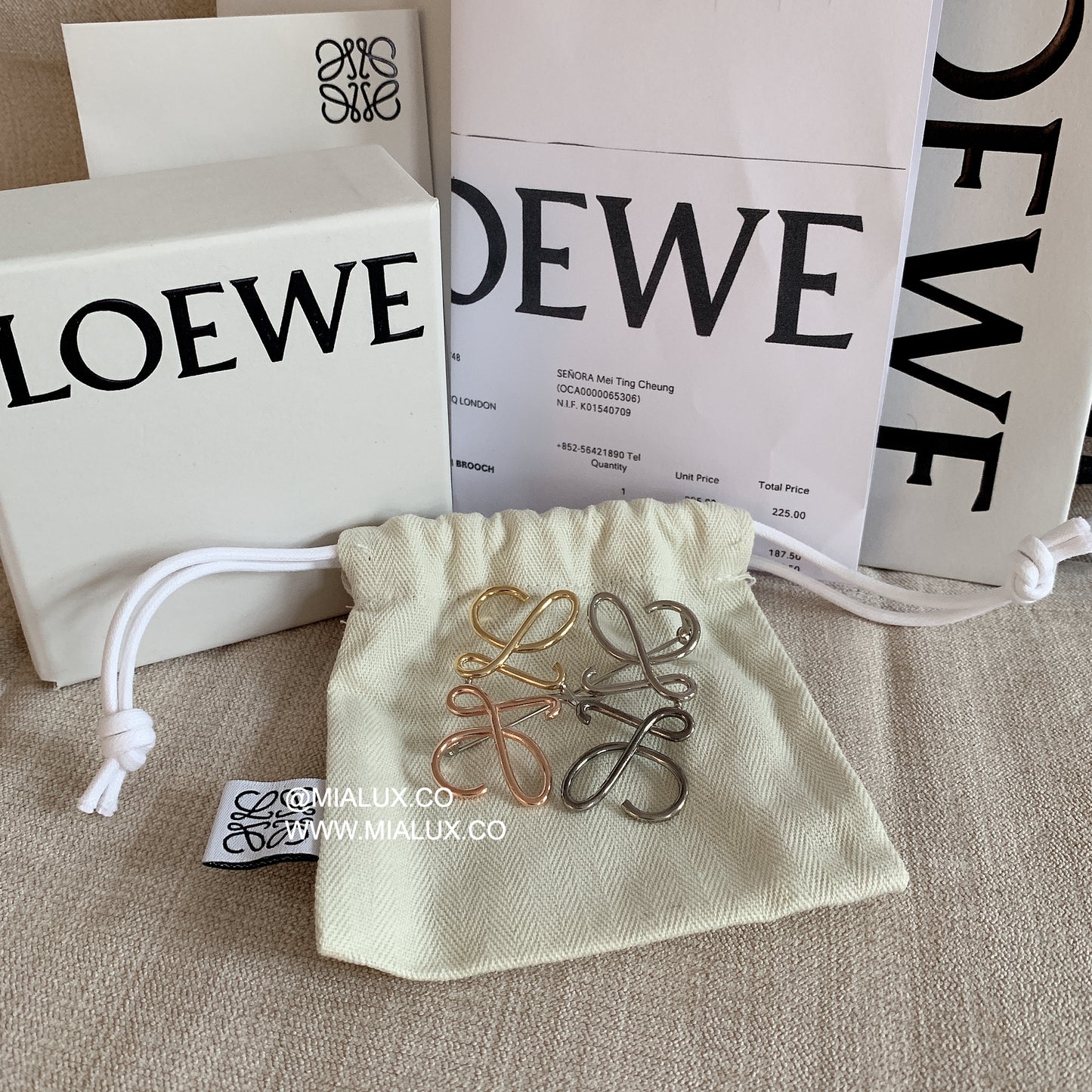 Loewe▪️Anagram brooch in metal 金屬多色胸針/275