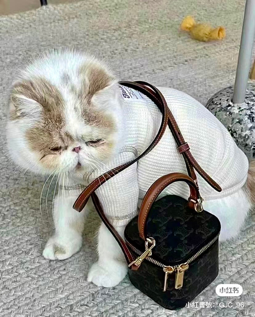 *現貨*Celine▪️Vanity Mini 老花化妝包 P29000 /T41000