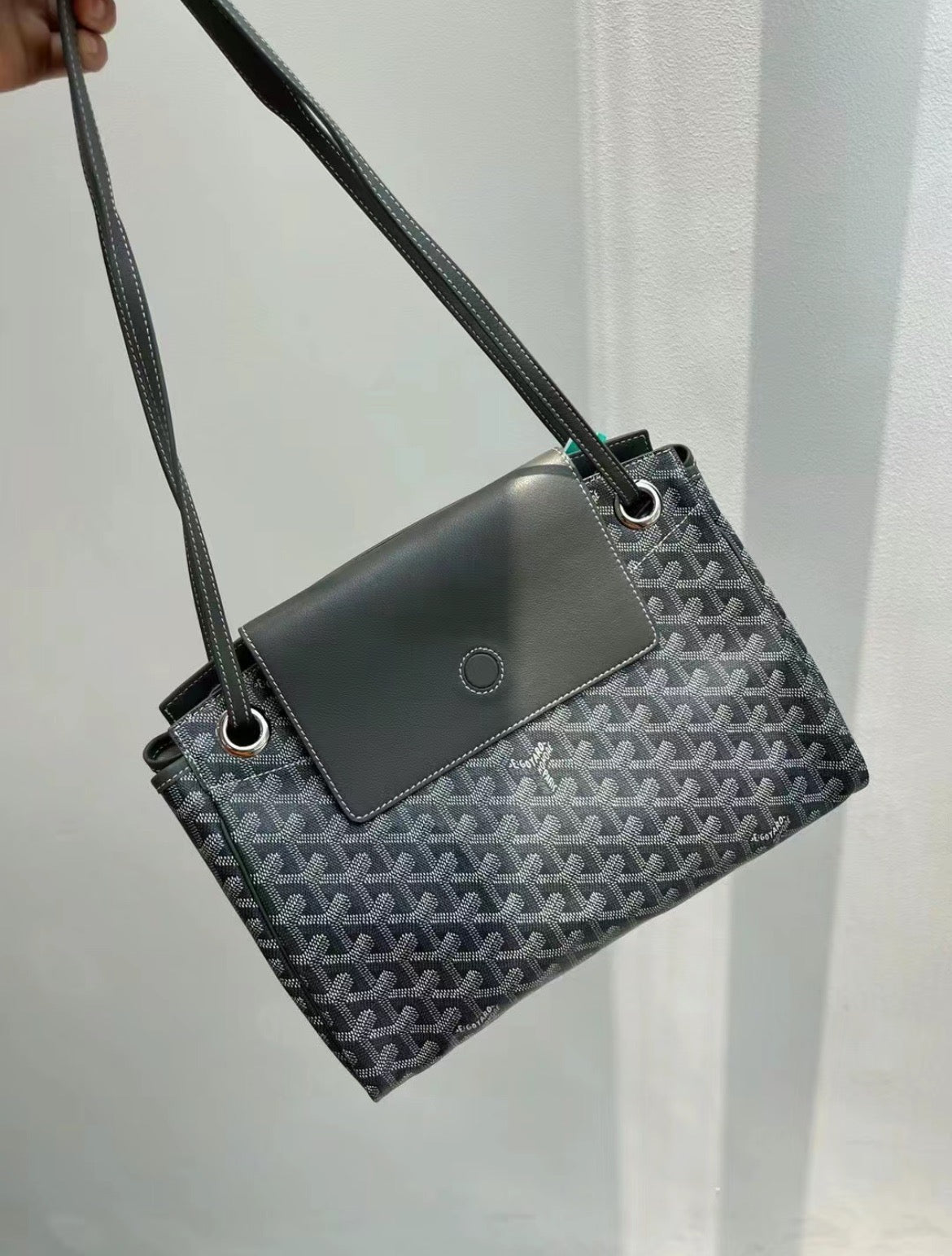 Goyard▪️Rouette Souple 新款餃子包/1840 🉐83800🏷️