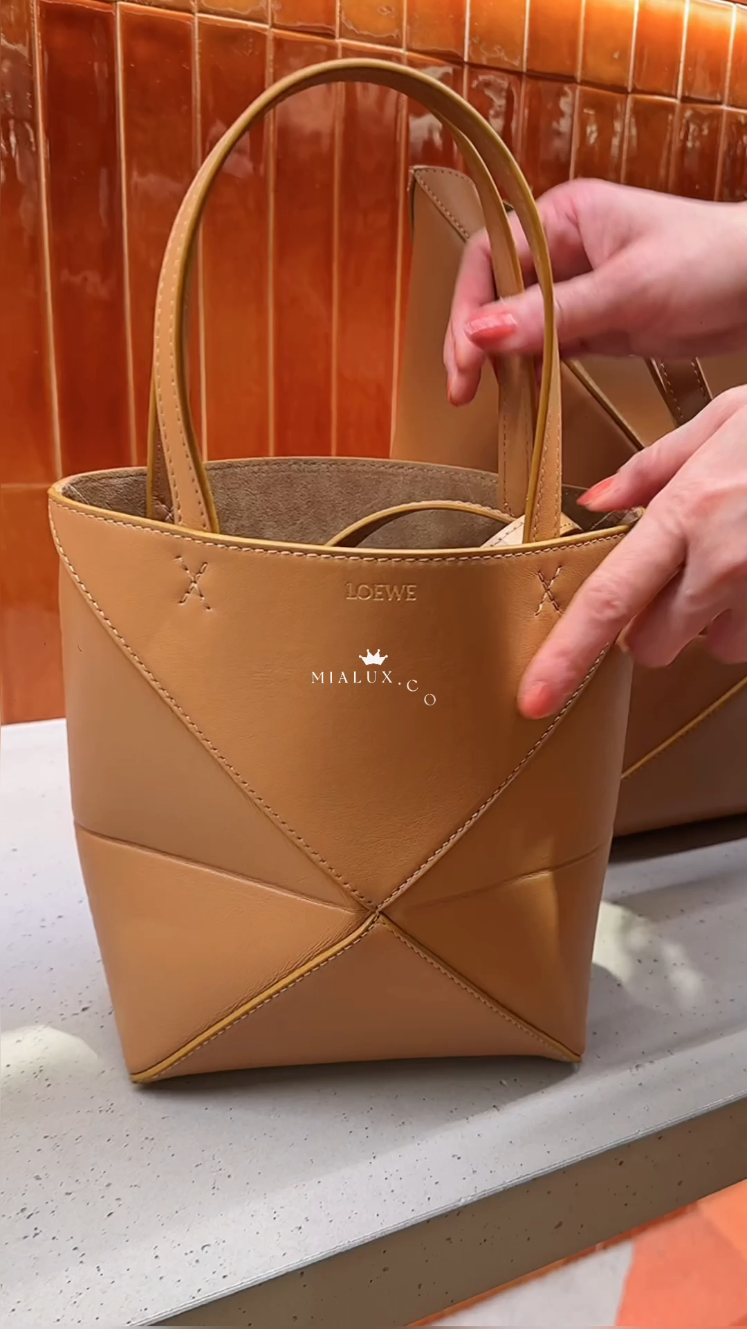 Loewe▪️Puzzle Fold Tote Mini 單色拼圖折疊包/1250