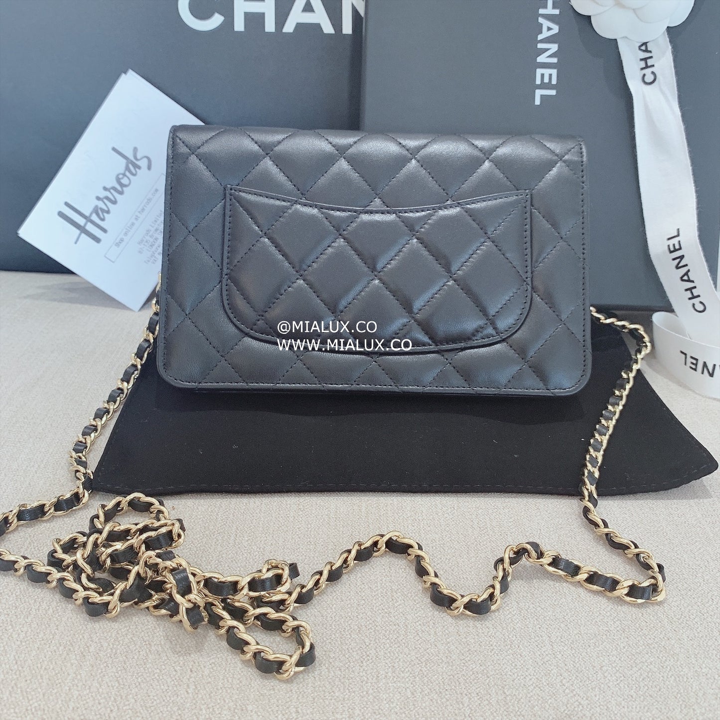 CHANEL▶︎✨| LAMBSKIN WALLET ON CHAIN 經典小羊皮金球翻蓋WOC錢包 AP1450 *£3,220