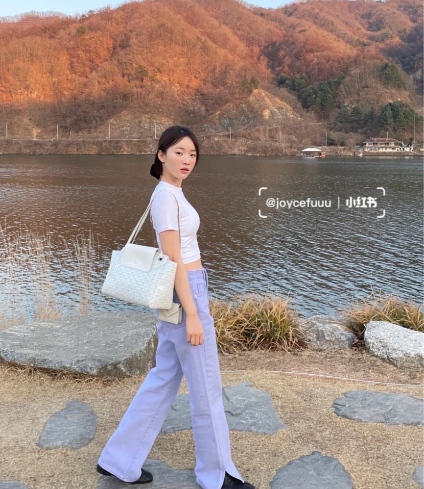Goyard▪️Rouette Souple 新款餃子包/1840 🉐83800🏷️