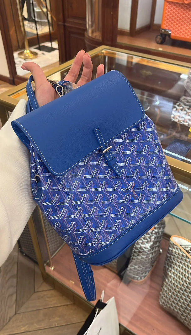 Goyard Alpin Mini 經典雙肩背包 🉐105000🏷