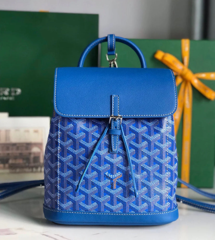 🇪🇺Goyard Alpin Mini 經典雙肩背包 🉐103000 歐元連線特價