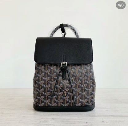 Goyard Alpin Mini 經典雙肩背包 🉐105000🏷