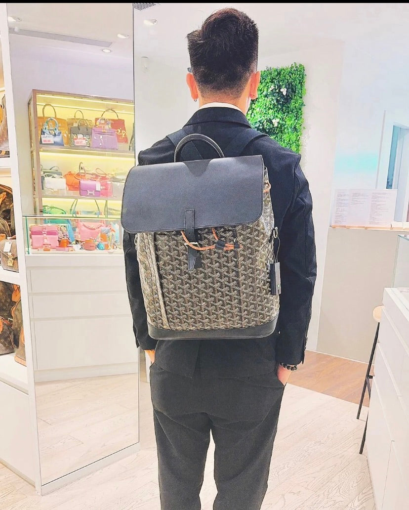 Goyard Alpin MM Backpack 後背包/E5800 🍀🉐233000🇪🇺