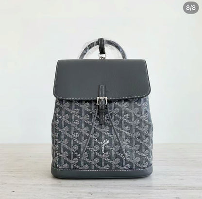 Goyard Alpin Mini 經典雙肩背包 🉐105000🏷