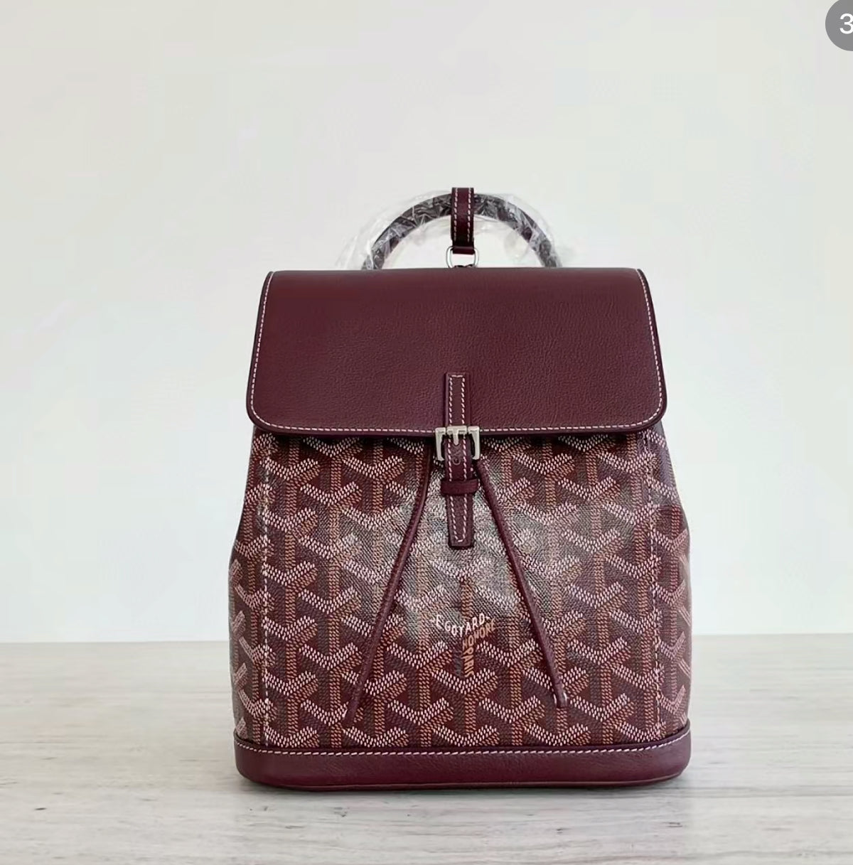 🇪🇺Goyard Alpin Mini 經典雙肩背包 🉐103000 歐元連線特價