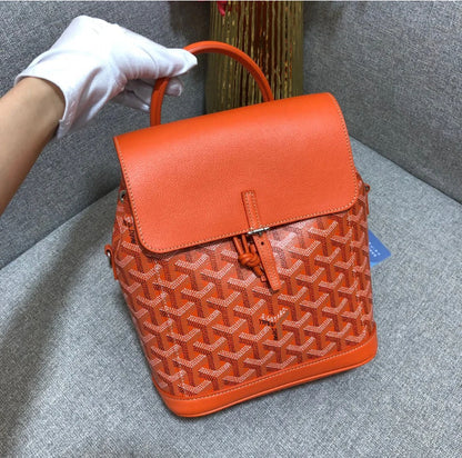 Goyard Alpin Mini 經典雙肩背包 🉐105000🏷