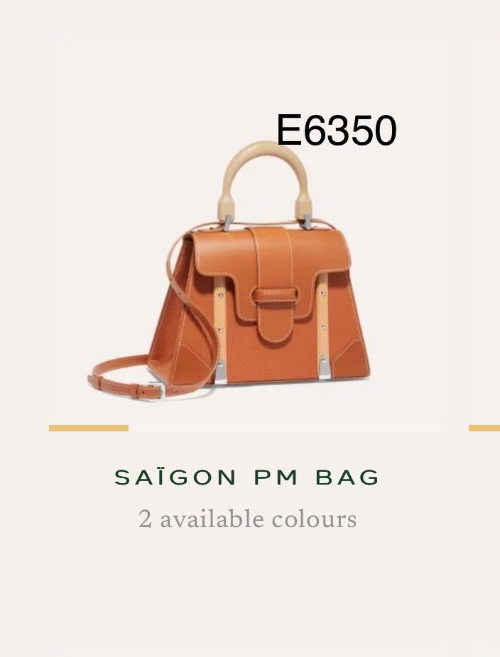 Goyard Saigon PM Bag 硬殼全皮西貢包/E6350 🍀🉐255000🇪🇺