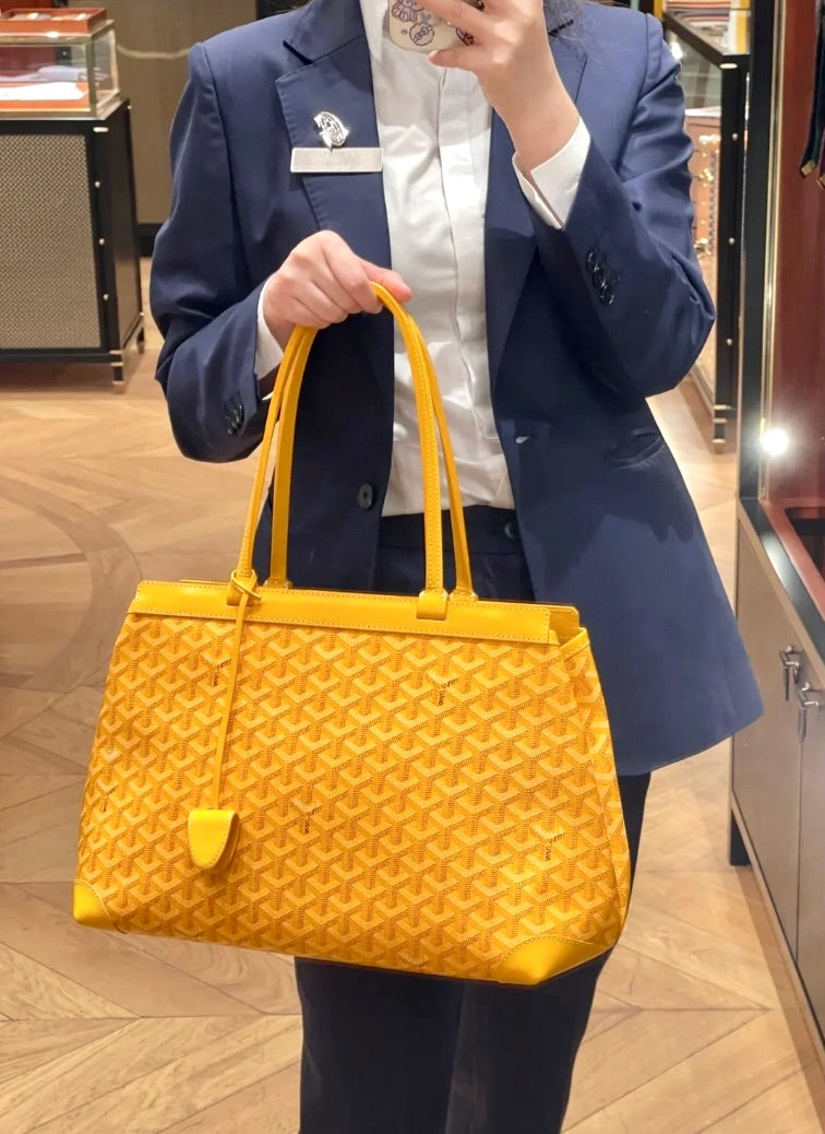 Goyard Bellechasse Biaude PM 托特通勤包/E2100 🍀🉐85000🇪🇺