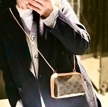 Celine▪️CLUTCH WITH CHAIN 鏈條小包/730E750 🉐27250🇪🇺