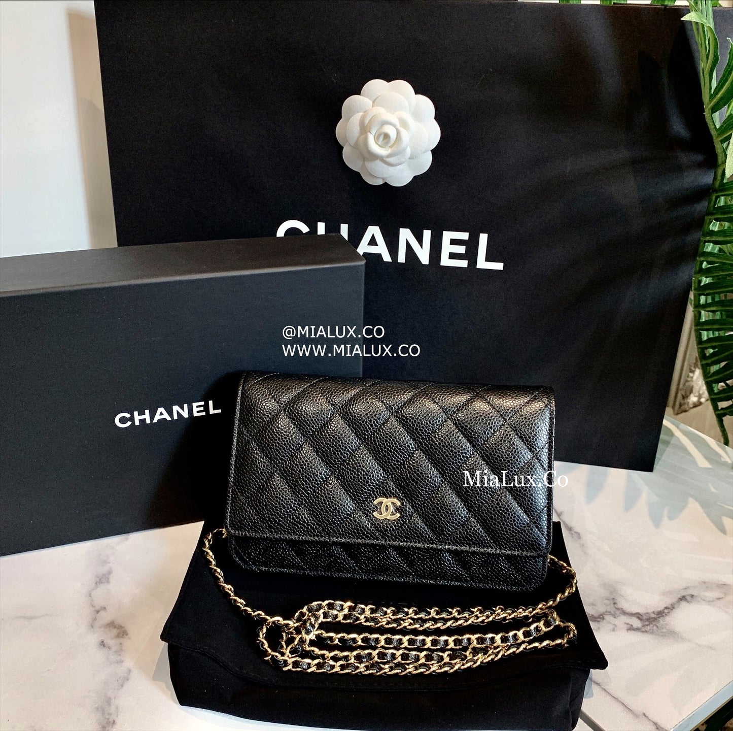 CHANEL▪️CF WOC 翻蓋WOC鏈包/2810