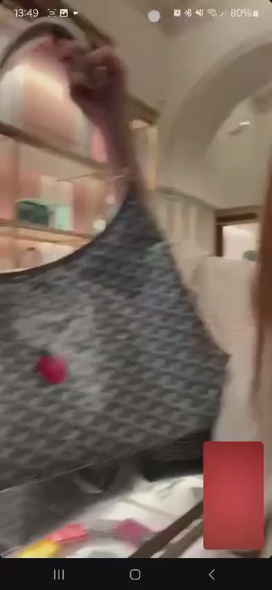 Goyard▪️Boheme Hobo 限量款小瓢蟲彩繪單肩包/E2160 🉐88000🏷️(長等款)